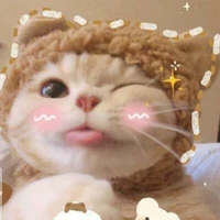 tác giả bị flop nhất hình tình