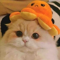 Tác giả đúng nhận cấm cãi ><