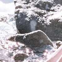 Chư Thần