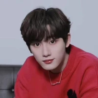 Đinh Trình Hâm