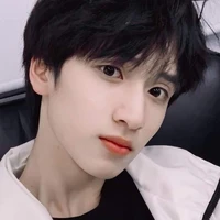 Nghiêm Hạo Tường