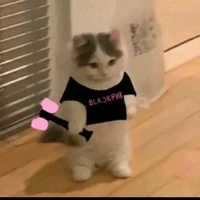 t/g cư tề