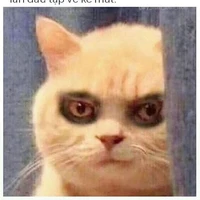 An Thy