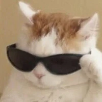 t/g xênh địp👁️👄👁️