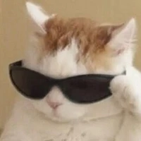 t/g xênh địp👁️👄👁️