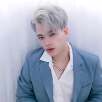 Vịt