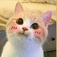 tác giả nè