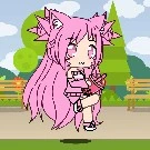 timi chan