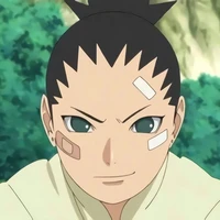 nara shikadai