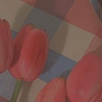 Cả lớp