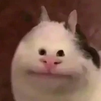 t/ g si đa