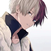 Shoto Todoroki