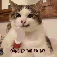 Tác giờ sắp thi 