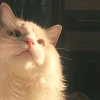 ꧁Evil┊Wolf꧂    [ Tác Giả ]