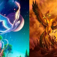 Hỏa+Băng Vũ Phượng