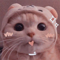 tác giả siêu cute
