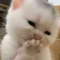 Main chính là mịiiiiii