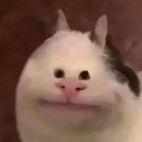 All