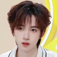 Hạ Tuấn Lâm