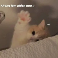 Tác giả báo đời