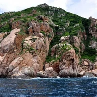 NV phụ