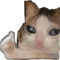 coan điên lần đầu viết truyện