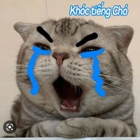 cục sicule(tg)