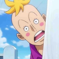 Marco 