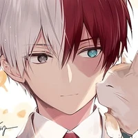 Todoroki Shouto