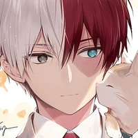 Todoroki Shouto