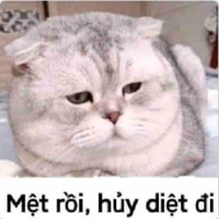 Thầy Lý (Chủ nhiệm)