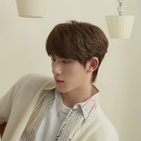 Đinh Trình Hâm