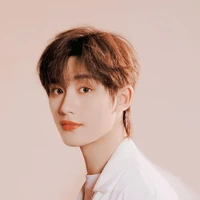 Đinh Trình Hâm