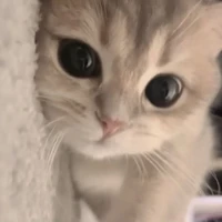 Hệ thống 001 ( Nhã Nhã )