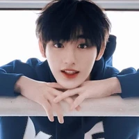 Đinh Trình Hâm