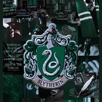 Hs nhà Slytherin 