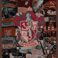 Hs nhà Griffidor 