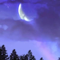 All(Trừ những người cần trừ)