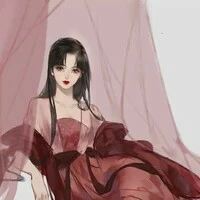 hà linh vy