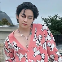 Kim Taehyunh (V)