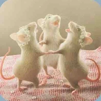 Nhỏ tác giả 👾