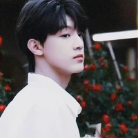 Trương Trạch Vũ