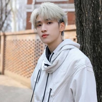 Nghiêm Hạo Tường