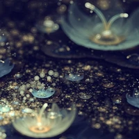 Hội xuyên không - một số người