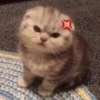Tg cutii