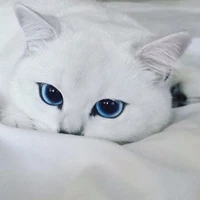 No
