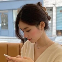 Mẹ Tuệ Minh