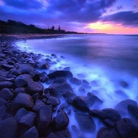 Eagle Union_Liên Minh Đại Bàng