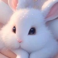 Hệ thống - A ly-206