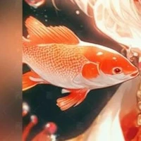 Thuộc hạ Tư Vũ- cá vàng[all]